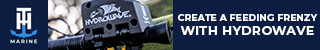 Banner - TH Marine Q4 2023