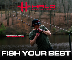 Medium Block Ad - Halo Fishing