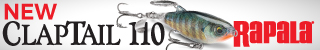 Banner - Rapala Ad DT Series - 2025