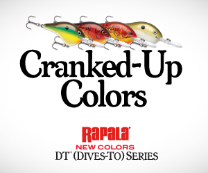 Medium Block - Rapala Ad DT Series - 2025