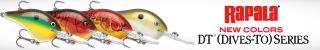 Banner - Rapala Ad DT Series - 2025