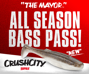 Medium Block - Crush City: Mayor