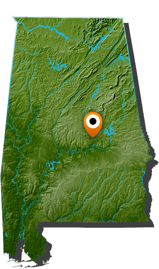 Lake Jordan Location Pin