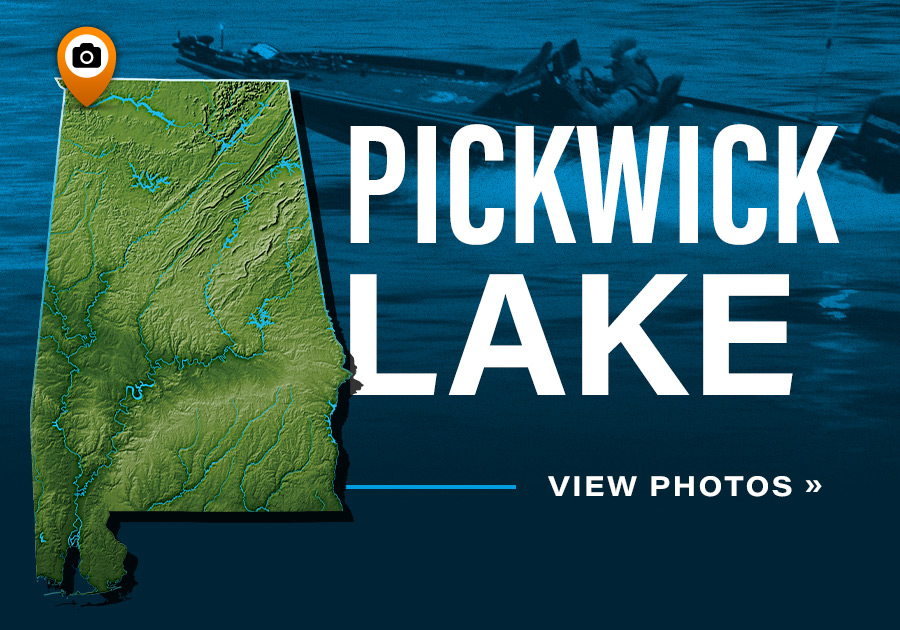 Pickwick Lake - View Photos