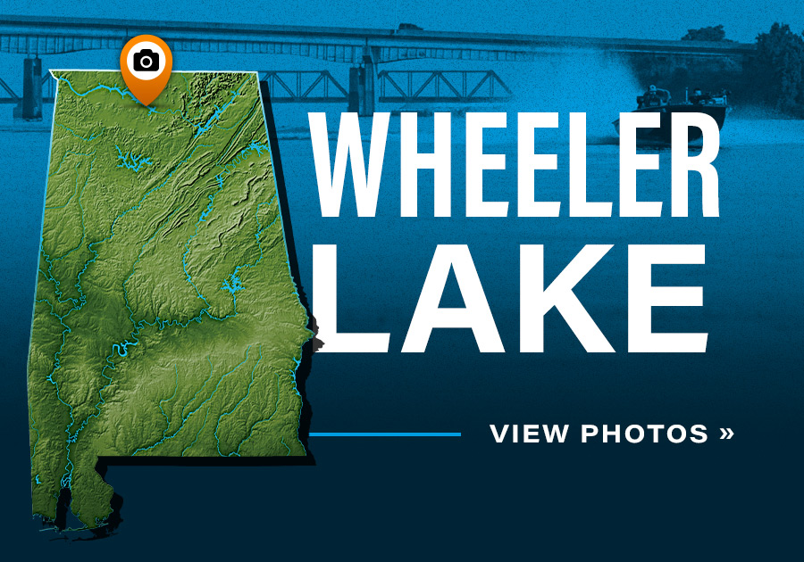 Wheeler Lake Photos