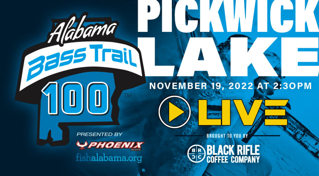 Pickwick Lake Live Weigh In